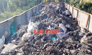 Vụ đổ trộm rác thải ở Bình Phước: Khẩn trương xác định khối lượng và chủ mỏ đá 