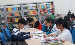 Tiêu chí xác định thư viện công lập được Nhà nước ưu tiên đầu tư