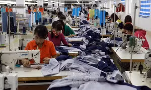 Phụ cấp đi lại cho nhân viên có phải tính đóng bảo hiểm xã hội?