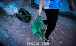Hướng tới môi trường không rác thải nhựa