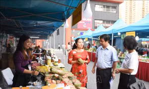 Hà Nội: Nâng chất cho sản phẩm theo chương trình 'Mỗi xã một sản phẩm'