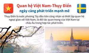 Quan hệ Việt Nam-Thụy Điển ngày càng phát triển mạnh mẽ