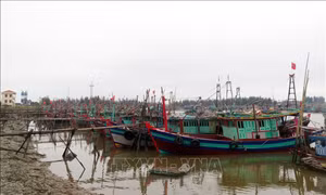 Hà Tĩnh: Thực hiện cấm biển và kêu gọi tàu, thuyền vào nơi trú ẩn an toàn