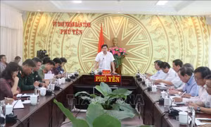 Phú Yên sẵn sàng phương án ứng phó bão số 6