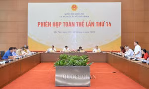 Từng bước giảm khoảng cách giới trong lĩnh vực chính trị
