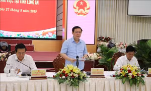 Long An cần sớm triển khai quy hoạch phát triển kinh tế - xã hội theo hướng dài hơi 