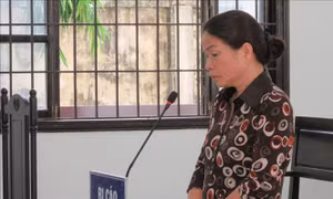 Tham ô 658 triệu đồng, nữ thủ quỹ lĩnh án 7 năm tù giam