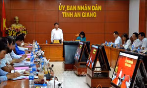 Công bố dịch tả lợn châu Phi trên toàn tỉnh An Giang 