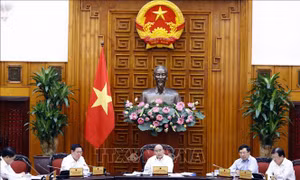 Thủ tướng: Sẽ có chỉ thị tổng thể thúc đẩy phát triển các vùng kinh tế trọng điểm