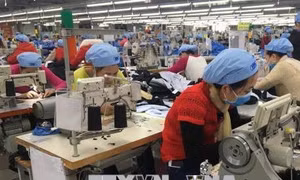 Dệt may Việt Nam tìm kiếm cơ hội tăng cường thâm nhập thị trường Nga
