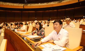 Quốc hội thông qua Luật Giáo dục (sửa đổi)