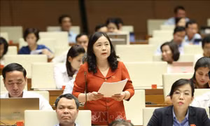 Cần thiết ban hành Luật Thư viện, tạo khung pháp lý mới để phát triển văn hoá đọc