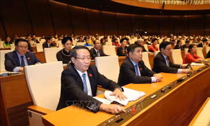 Tiếp tục hoàn thiện, nâng cao hiệu quả thực hiện chính sách, pháp luật về đất đai tại đô thị