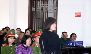Lừa đảo chạy việc, nguyên cán bộ thanh tra lĩnh án 20 năm tù