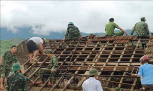Hà Tĩnh huy động 250 cán bộ, chiến sĩ giúp dân khắc phục hậu quả lốc xoáy