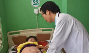 Bốn trường hợp tử vong do mắc sốt xuất huyết ở Bà Rịa-Vũng Tàu