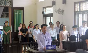Cục Thi hành án dân sự tỉnh Bình Định kháng cáo vụ án bị buộc bồi thường hơn 55 tỉ đồng