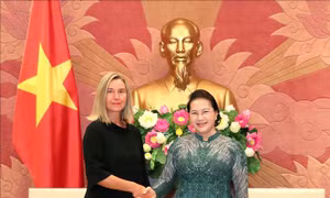 Chủ tịch Quốc hội Nguyễn Thị Kim Ngân tiếp Phó Chủ tịch Ủy ban châu Âu