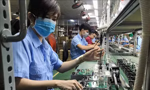 Báo Hàn Quốc: Việt Nam - Đất nước của những cơ hội kinh tế