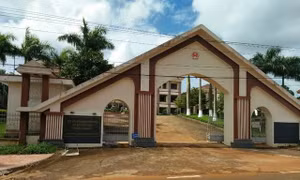 Lấn chiếm đất lâm nghiệp, nguyên Phó Chủ tịch UBND huyện bị phạt tù