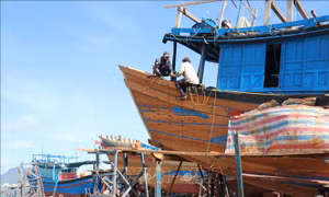 VCCI đề xuất điều chỉnh phương án đơn giản hóa Luật Thủy sản