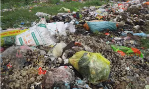 Tìm địa điểm mới để tập kết rác thải ở Phú Thành, Hoà Bình
