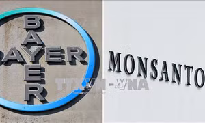 Monsanto dính bê bối truyền thông