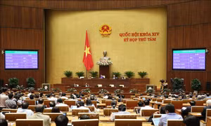 Kỳ họp thứ 8, Quốc hội khóa XIV: Thông cáo báo chí số 25