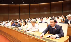 Thông qua Luật sửa đổi, bổ sung một số điều của Luật Tổ chức Chính phủ và Luật Tổ chức chính quyền địa phương