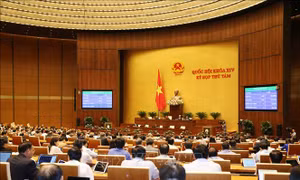Kỳ họp thứ 8, Quốc hội khóa XIV: Thông qua hai Luật