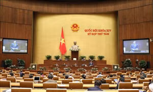 Kỳ họp thứ 8, Quốc hội khóa XIV: Chất vấn 4 nhóm vấn đề lớn trong tuần làm việc thứ 3