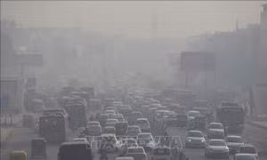 New Delhi tìm cách xua tan màn khói độc bao phủ thành phố 