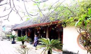 Công bố Quy hoạch chi tiết xây dựng Khu Di tích Phủ Trịnh