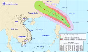 Các tỉnh, thành phố ven biển từ Quảng Ninh đến Bình Định ứng phó với bão Bailu
