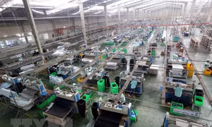 Chính sách tài khoá khẩn trương, linh hoạt sẽ hỗ trợ hiệu quả cho doanh nghiệp