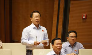 Cần giải pháp mạnh mẽ 'vì một nền giáo dục không nói dối' 