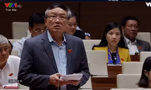 Chánh án Nguyễn Hòa Bình: Quyền lợi của người lao động đã được bảo vệ ở cấp độ cao nhất