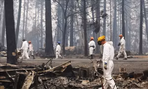 Tổng thống D.Trump sẽ thị sát vùng 'thảm hoạ' cháy rừng tại California