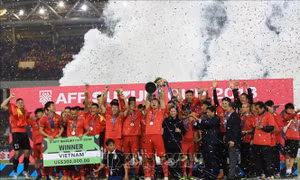 AFF Suzuki Cup 2018: Tháng 3/2019, Việt Nam - Hàn Quốc tranh cúp bóng đá liên khu vực 