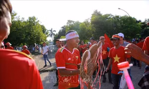 AFF Suzuki Cup 2018: CĐV Việt Nam chờ chiến thắng của thầy trò HLV Park Hang Seo