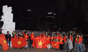 AFF Suzuki Cup 2018: Cảm xúc của người hâm mộ tại quê hương HLV Park Hang-seo