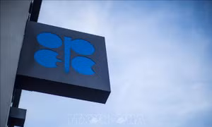 Tương lai bất định của OPEC