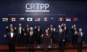 Hiệp định CPTPP chính thức có hiệu lực đối với Việt Nam từ 14/1