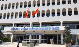 TP Hồ Chí Minh tăng cường giám sát dịch bệnh đậu mùa khỉ 