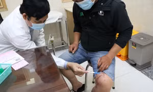 Kiến ba khoang ‘tấn công’ nhiều chung cư tại TP Hồ Chí Minh