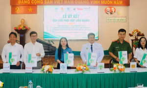 ‘Lá chắn’ liên ngành bảo vệ trẻ bị bạo hành, xâm hại