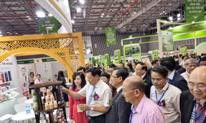 Nhu cầu sử dụng thuốc y học cổ truyền đạt chuẩn rất lớn