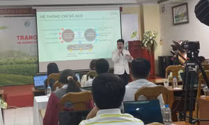 TP Hồ Chí Minh: Trang bị kỹ năng cho nông dân đưa nông sản lên sàn thương mại điện tử