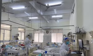 TP Hồ Chí Minh: Số ca mắc, nhập viện do COVID-19 tăng nhẹ