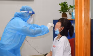 TP Hồ Chí Minh: Phát hiện 13 trường hợp nghi mắc COVID-19 tại một giáo phái ở quận Gò Vấp